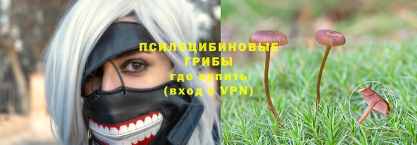 гашик Остров
