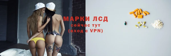 стафф Осинники