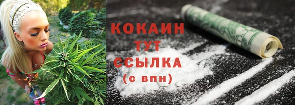 гашик Остров