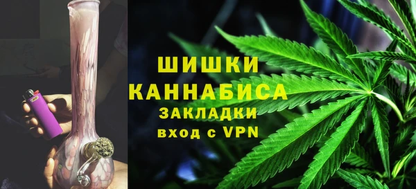 стафф Осинники