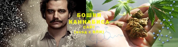 стафф Осинники