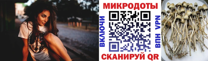 продажа наркотиков  даркнет клад  Псилоцибиновые грибы мицелий  Сатка 