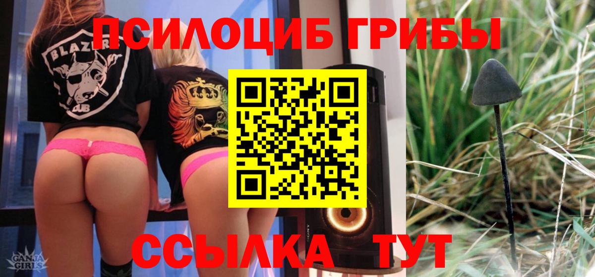 Галлюциногенные грибы Cubensis Сатка