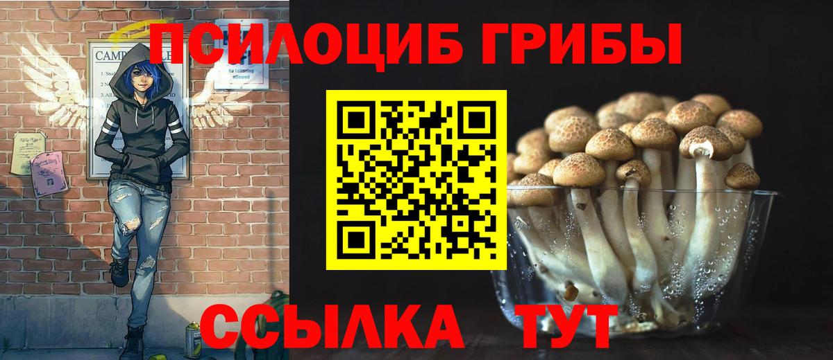 Сатка  Галлюциногенные грибы Cubensis  Вход с VPN 